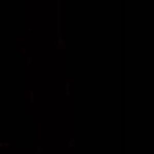 Meet your Posher, Gracie